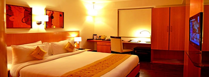 1225/The Theme Hotel - Jaipur 09.jpg